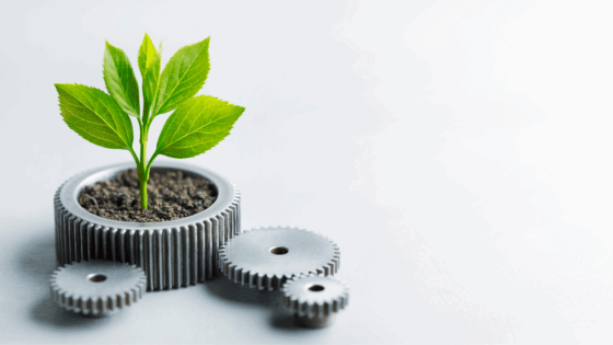 Sostenibilità e Green Solutions